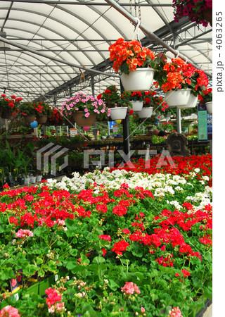 Greenhouse Greenhouse 4063265