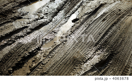 Tracks in the mud 4063678