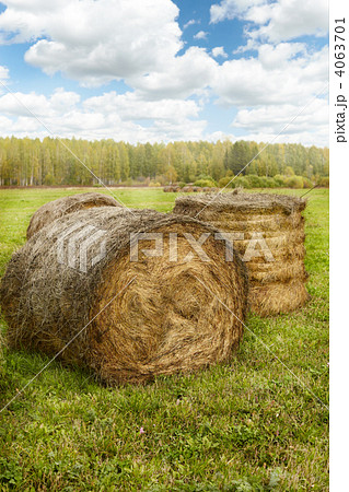 Bales of Hay 4063701
