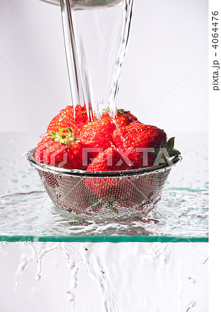 イチゴを洗う 4064476