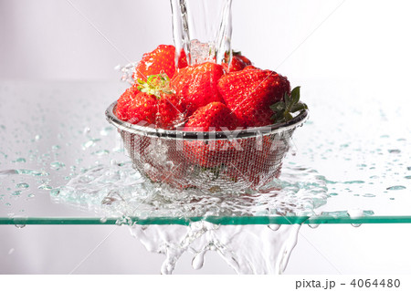 イチゴを洗う 4064480
