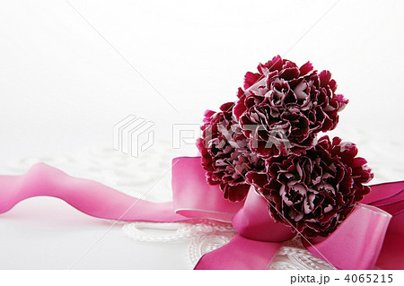 パープルのエレガントなカーネーションとりぼん パープルのエレガントなカーネーションとりぼん 4065215