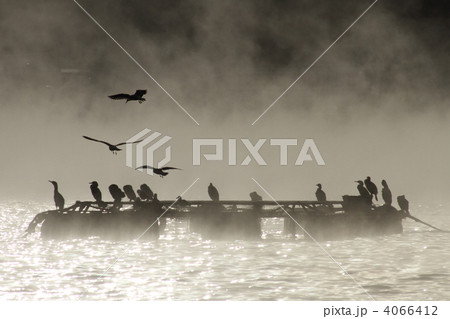 けあらし けあらし 4066412