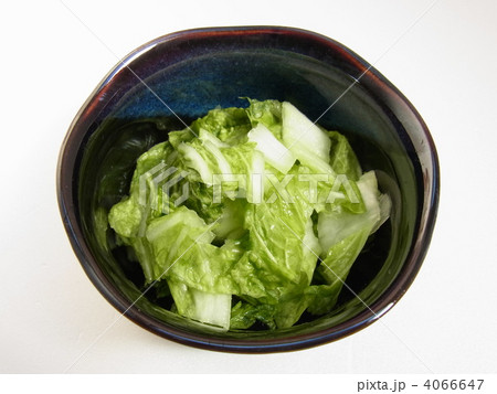白菜の一夜漬け 4066647