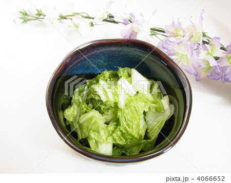 白菜の一夜漬け 4066652