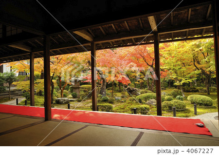 秋の京都 圓光寺 庭園 秋の京都 圓光寺 庭園 4067227