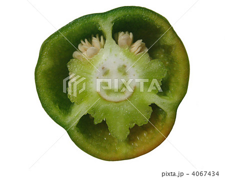 にっこりピーマン 4067434