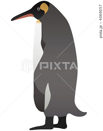 皇帝ペンギン 4069057
