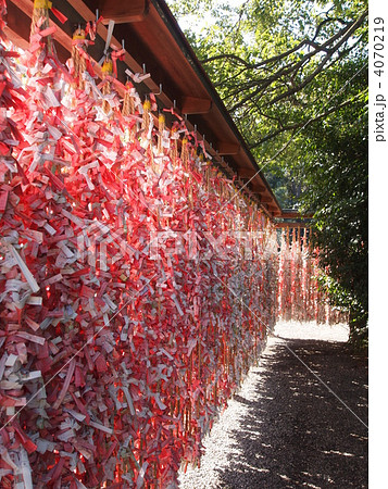 ピンクのおみくじ 4070219