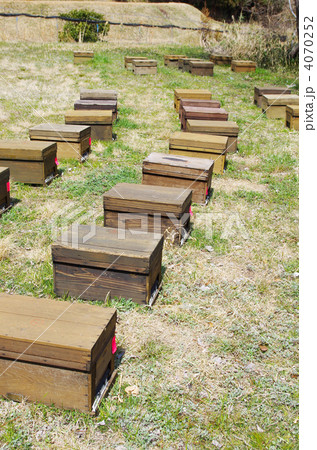 日本全国を旅する巣箱 日本全国を旅する巣箱 4070252