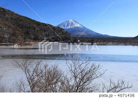 富士山と精進湖 4071436