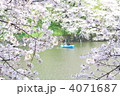 千鳥が淵の桜 4071687