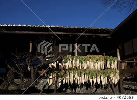 大根干し 4072663