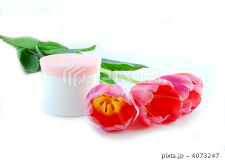Tulips and cream Tulips and cream 4073247
