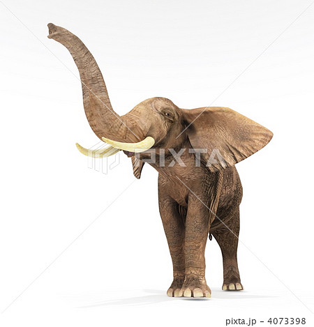 陸上動物 象 アフリカゾウのイラスト素材