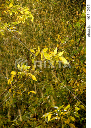 Rain and sun Rain and sun 4074296