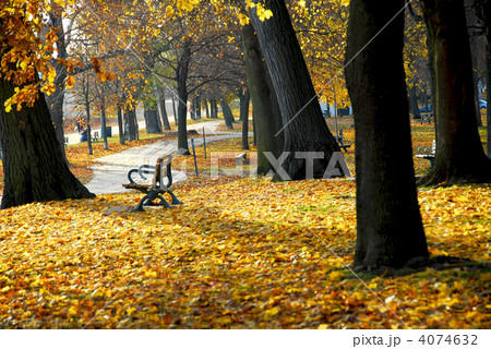 Autumn park 4074632