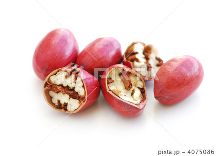 Pecans Pecans 4075086