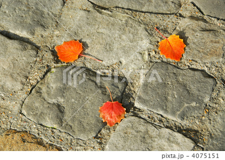 Pavement Pavement 4075151