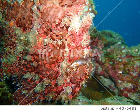 ボケ～っと…。 4075481