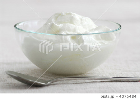 Yogurt Yogurt 4075484