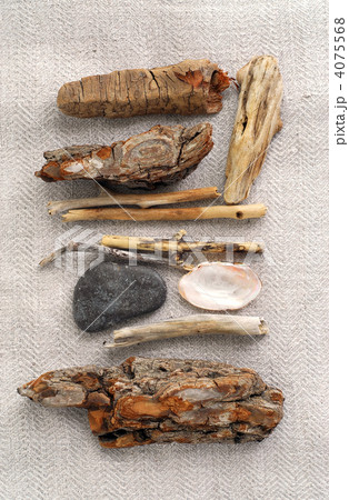 Beach treasures 4075568