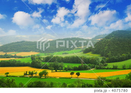 Rural landscape 4075780