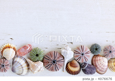 Background with seashells 4076676