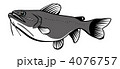 4076757