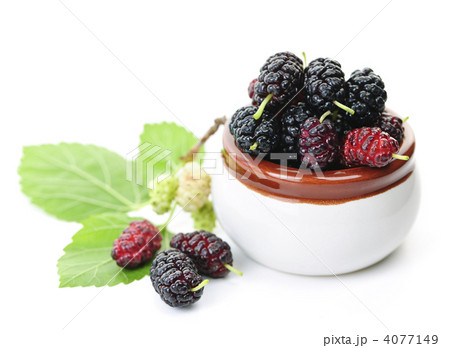 Fresh mulberries Fresh mulberries 4077149