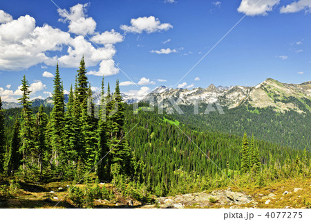 Rocky mountain view from Mount Revelstoke 4077275