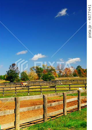 Rural landscape 4077441
