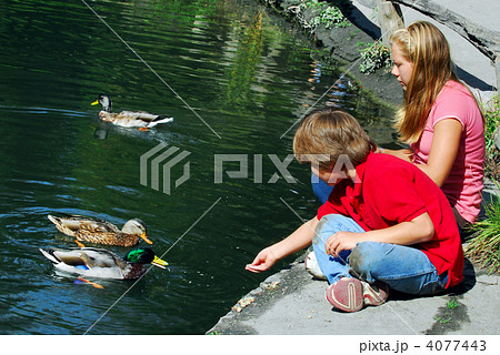 Children feeding ducks 4077443