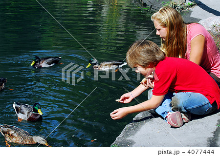 Children feeding ducks Children feeding ducks 4077444