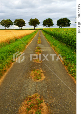 Road in rural France Road in rural France 4077445