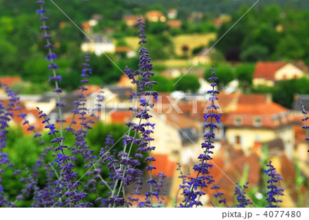 Rooftops in Sarlat, France 4077480