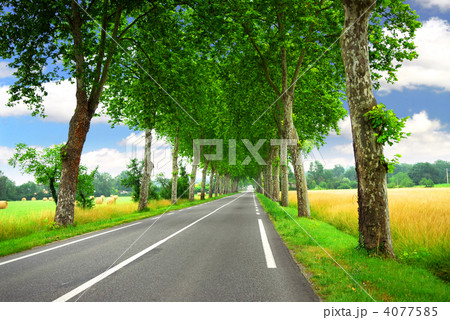 French country road 4077585