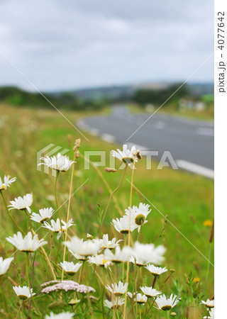 Country road 4077642