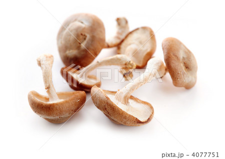 Shiitake mushrooms 4077751