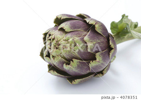 アーティチョーク 4078351