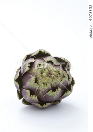 アーティチョーク 4078352