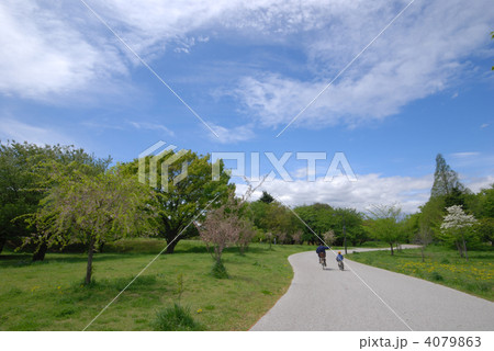 武蔵野の森公園　東京府中 4079863