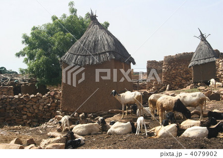 ドゴン族の村とヤギ 4079902