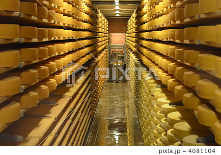 チーズ工場 / Cheese Plant チーズ工場 / Cheese Plant 4081104
