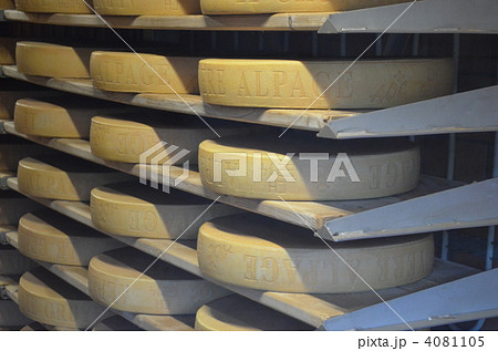 チーズ工場 / Cheese Plant チーズ工場 / Cheese Plant 4081105
