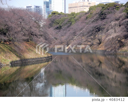 千鳥ヶ淵 千鳥ヶ淵 4083412