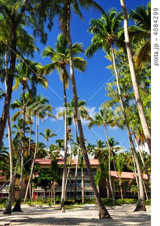 Tropical resort 4084299