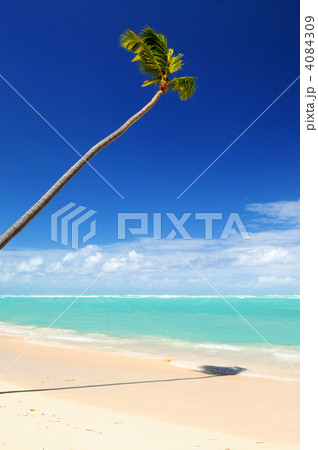 Tropical beach 4084309