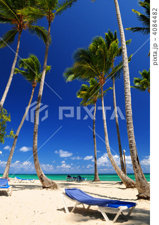 Sandy beach on Caribbean resort 4084482