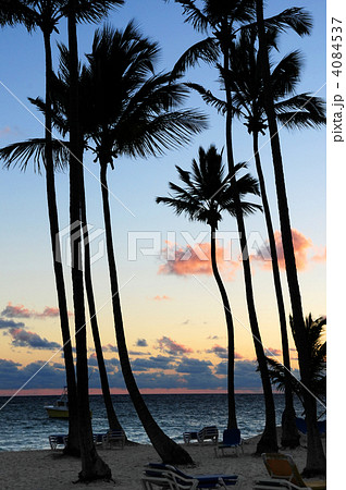 Tropical sunrise 4084537